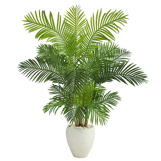 5ft. Hawaii Palm Tree in White Planter